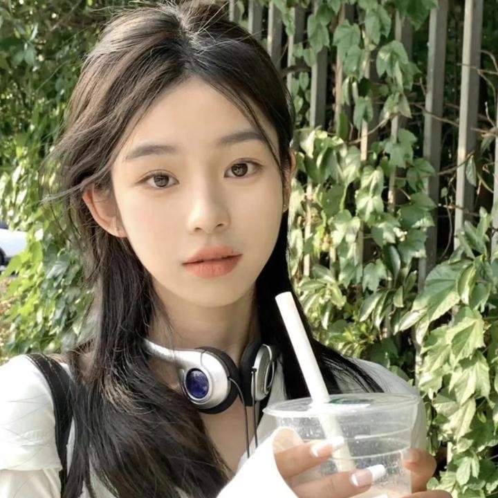 圣诞追缉令